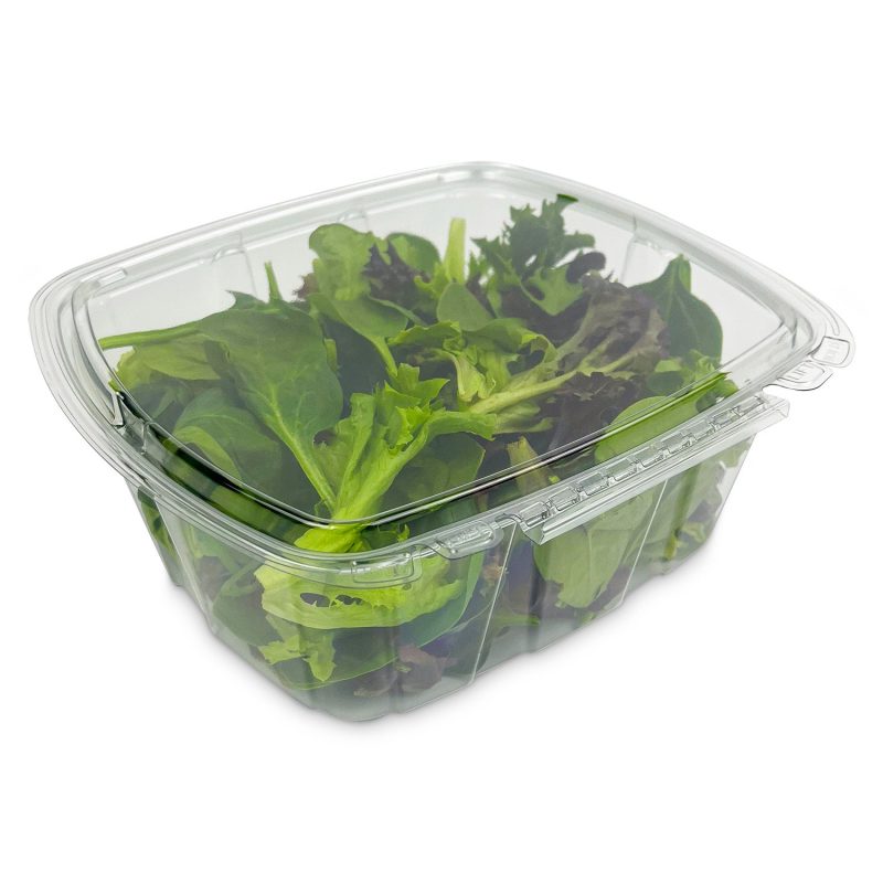 64oz Clear Hinged Side Food 0424